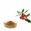 bearberry leaf extract 10:1 specification spray dry water-solubl