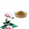 superb quality chinese lotus plant extract powder